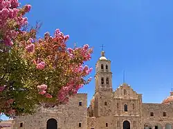 Crape myrtle during summer in Sombrerete, Mexico