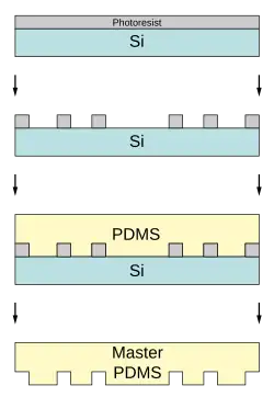 Creating the PDMS Master