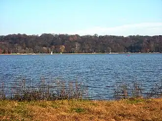 Creve Coeur Lake in the park