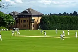 A cricket match in progress, with players in their cricket whites; behind, two modern brick building, three storeys high with dormer windows in the roof; alongside the houses, a hedge running along the side of the pitch, reaching to about the second storey of the houses