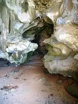 Cueva del Diamante on Isla Mona