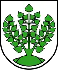 Coat of arms of Struppen
