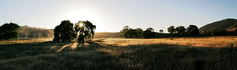 Dawn at Swifts Creek, Victoria, Australia - show another panorama
