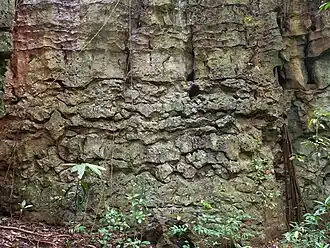 Detail of limestone formation