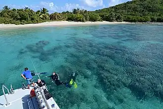 Diving in Culebra