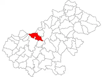 Location in Satu Mare County