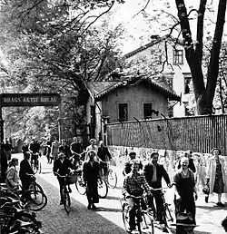 Drags Aktie Company, 1953