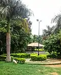 Yoga Park