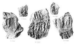 Egigi the fortune teller, servant of Eshpum (fragments).[19]