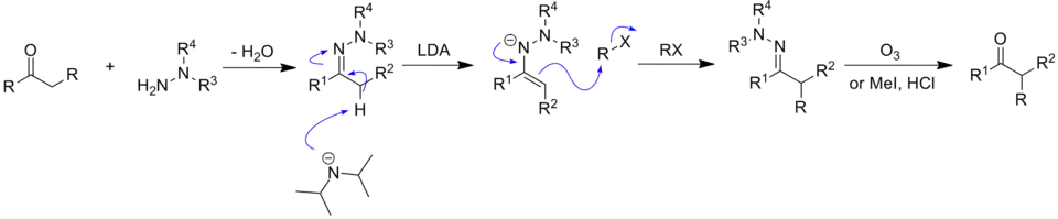 Mechanism of hydrazone alkylation