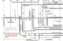 Family tree of Laestadianism in Finland and Karelia, including defunct groups