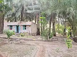 A date grove at a farm in Tayyibah, Fujairah. The bustan system of agriculture is used, irrigated by aflaj waterways