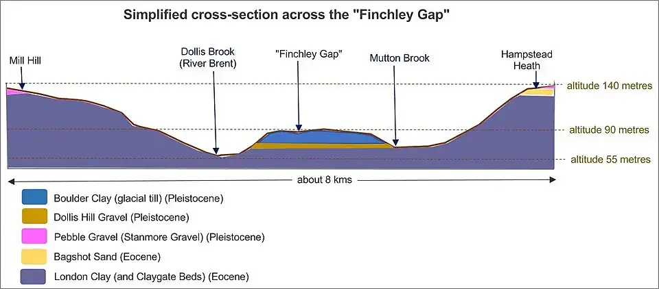 Geological cross-section across the Finchley Gap