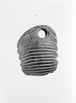 Perforated trilobite, grave D43
