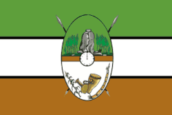 Flag of Kakamega County