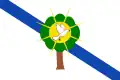Flag of Morelia, Caquetá