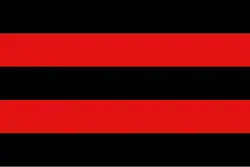 Flag of Scherpenheuvel-Zichem