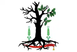 Flag of Starodubsky District