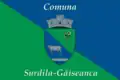Flag of Surdila-Găiseanca