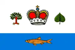 Flag of Vashkinsky District