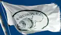 Flag of Wauconda, Illinois