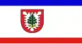 Flag of Pinneberg