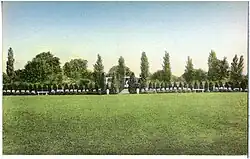 Large lawn with row of flowers and decorative shrubs in the distance