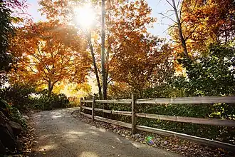 A walking path in Autumn