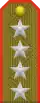 Shoulder strap of an Army General
