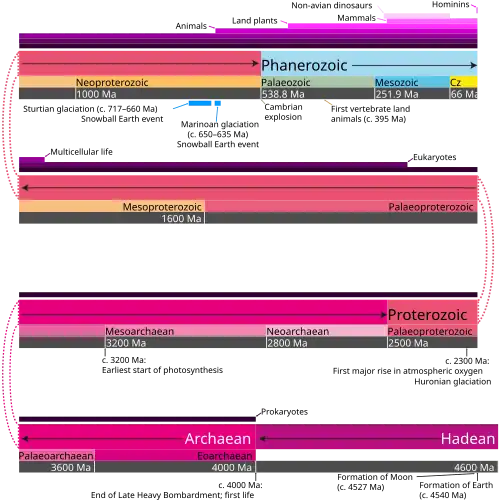 Geologic time scale for context with proportional representation of eons/eonothems and eras/erathems. Cenozoic is abbreviated to Cz. The image also shows some notable events in Earth's history and the general evolution of life.