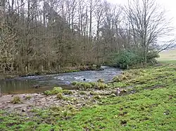 a small river looking downstream. A wood is on the left bank, and fields on the right