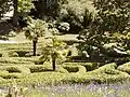 Glendurgan maze