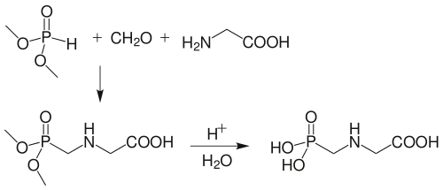 Glyphosate synthesis from dimethyl phosphite