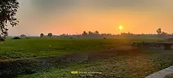 Golden hour hues across green fields near the Indus River bypass road.