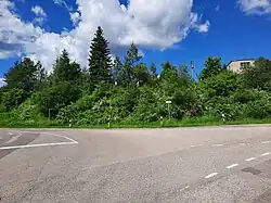 Road leading to Grabučiškės