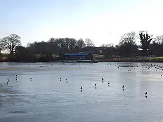 Frozen lake with birds on top of it