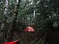 A tent in the forest