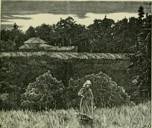 "Wandering in the wood" by Hubert von Herkomer for the magazine in 1870, page 44