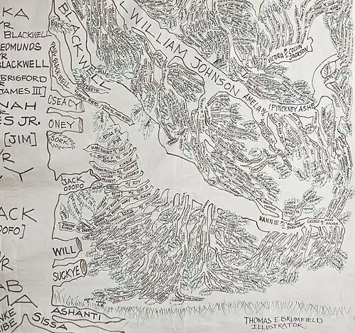 Photograph of a section of an intricate, hand drawn family tree.