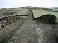 Harber Scar Lane which carries the Ribble Way northwards out of Horton-in-Ribblesdale