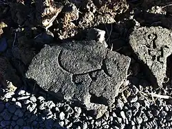 Image 49Ancient Hawaiian petroglyphic depiction of an ʻīlio (Hawaiian Poi Dog) (from Domestication of the dog)