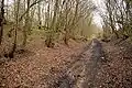 The trackbed between Pattenden Siding and Cranbrook station, March 2008