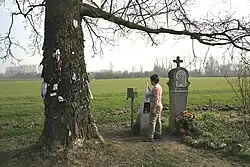 L'arbre à clous in Herchies Belgium