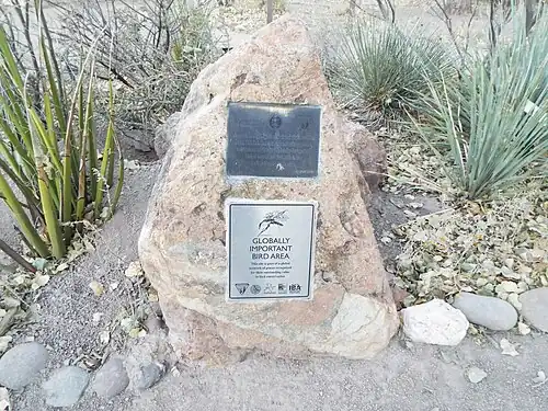 San Pedro Riparian National Conservation Area Globally Important Bird Area