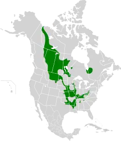 Map of North America with shading indicating species' distribution in parts of the central United States into parts of Canada