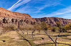 Historic Fruit Orchard At Lees Ferry
