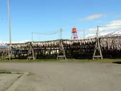 Fish drying at Hjalteyri