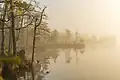 Morning fog on Kakerdaja bog