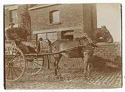 Horse and trap bearing "Vote for Blease" signs during the 1910 general election campaign for Chorley, Lancashire