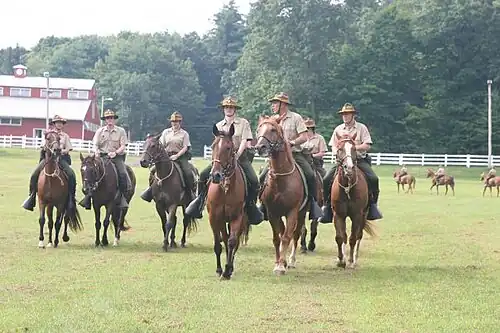 Men and women in tan shirts, green breeches, and green campaign covers ride seven brown horses forward in an arrowhead formation with one horse in the center rear.